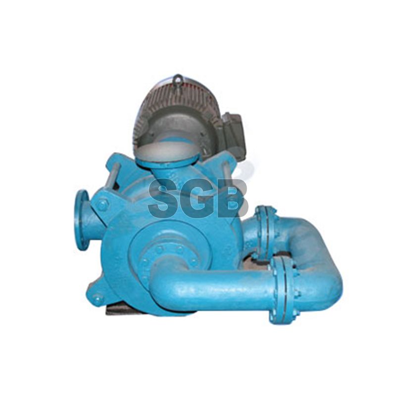 DG Series Filter Press Feed Pump