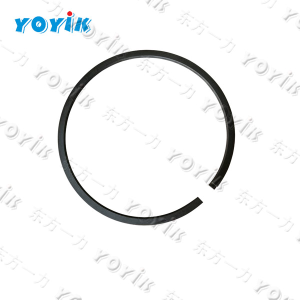 China Supplier Sealing ring UZ11816 Draft fan HU25040-111G for steam turbine