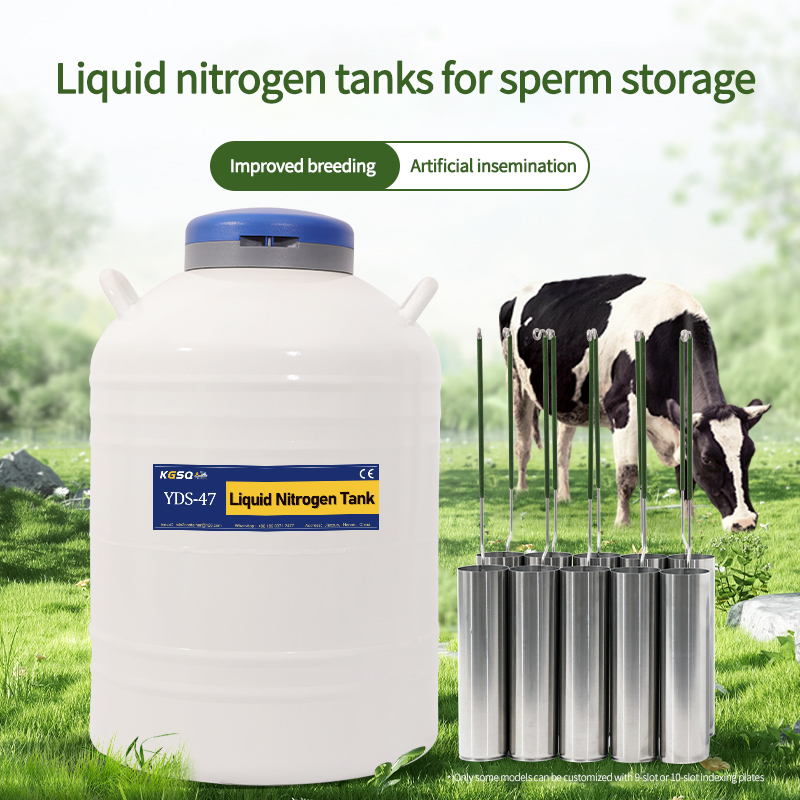 Puerto Rico-cattle semen storage-10L liquid nitrogen storage tank factory