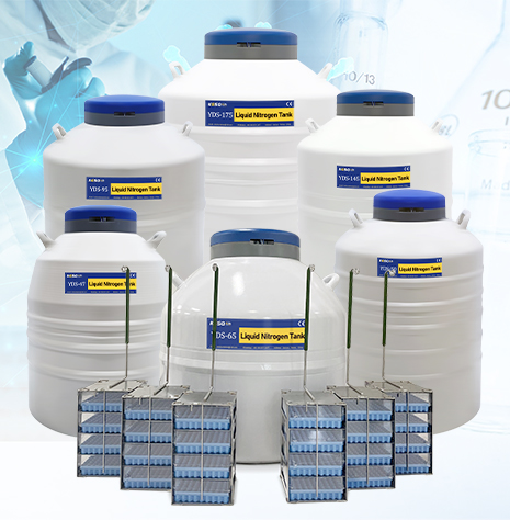 Nigeria-liquid nitrogen cell storage container-cryogenic container