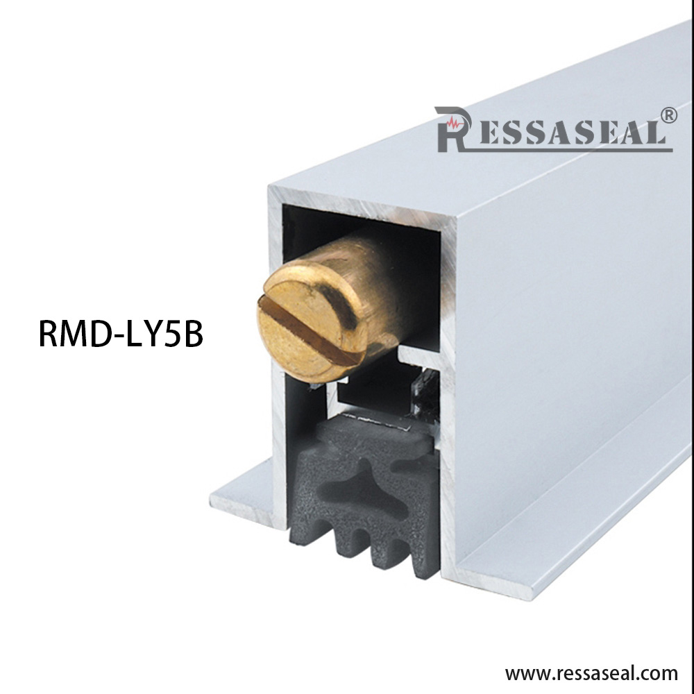  RESSA RMD-LY5B Surface Mounted Automatic Door Sweep