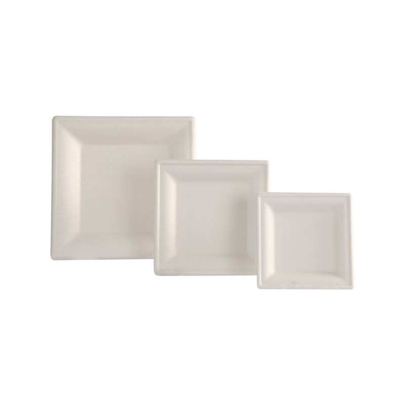 bagasse tray