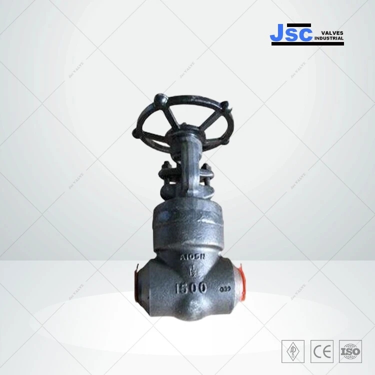 ASTM A105N Gate Valve