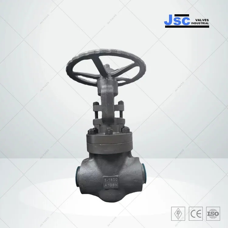 API 602 Globe Valve