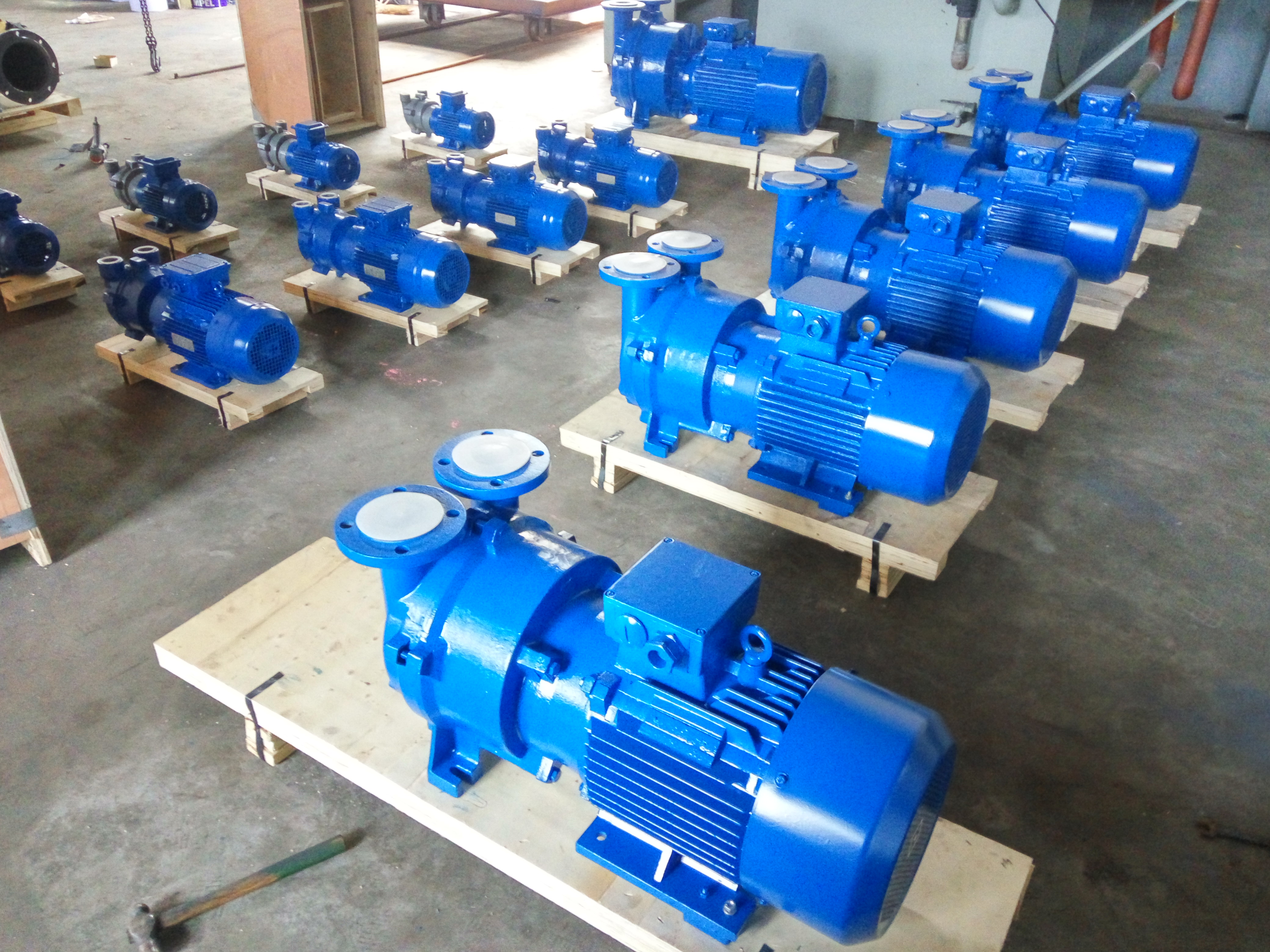 2BV5121 Water Ring Vacuum Pump