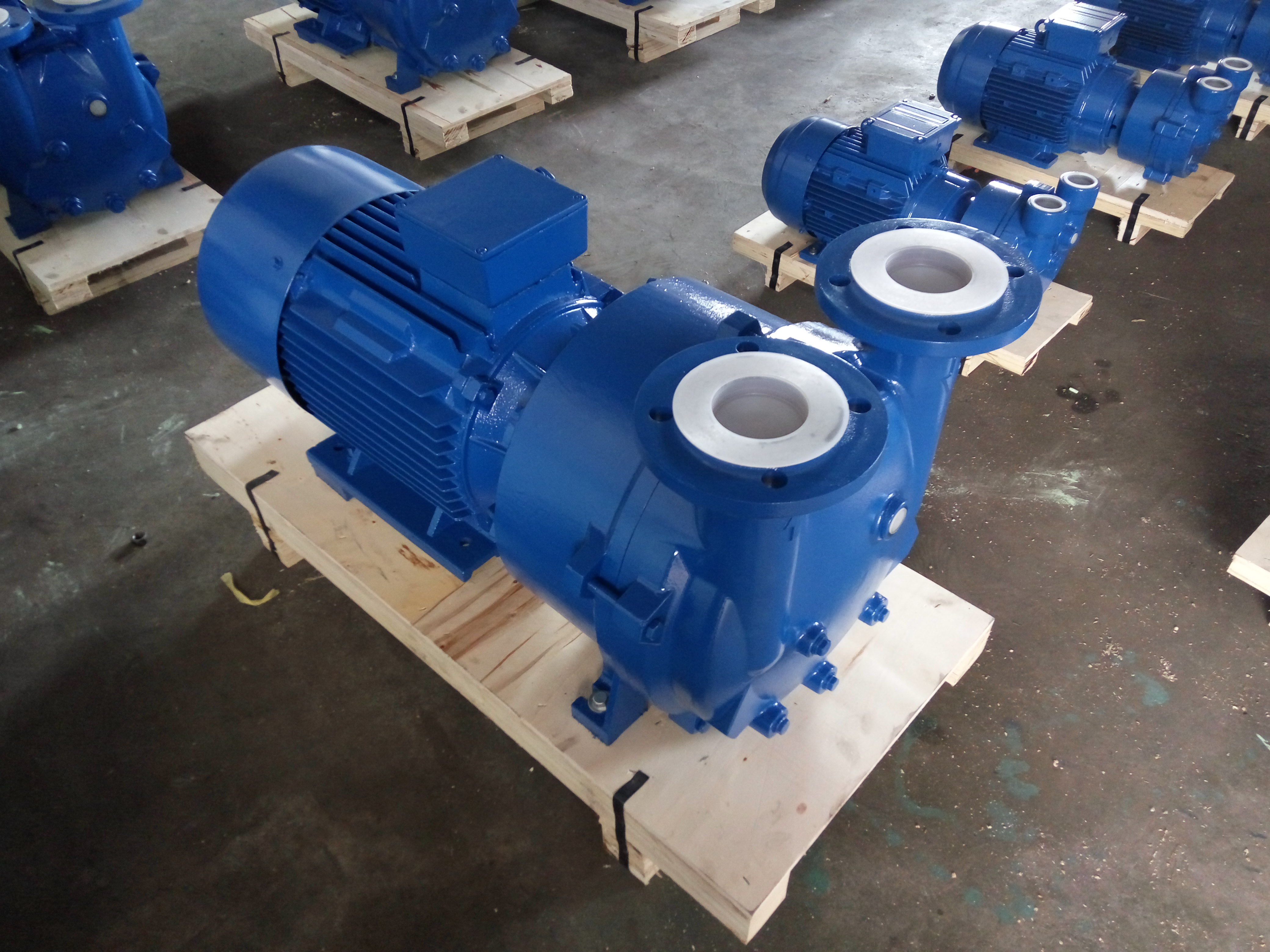 2BV5110 Water Ring Vacuum Pump