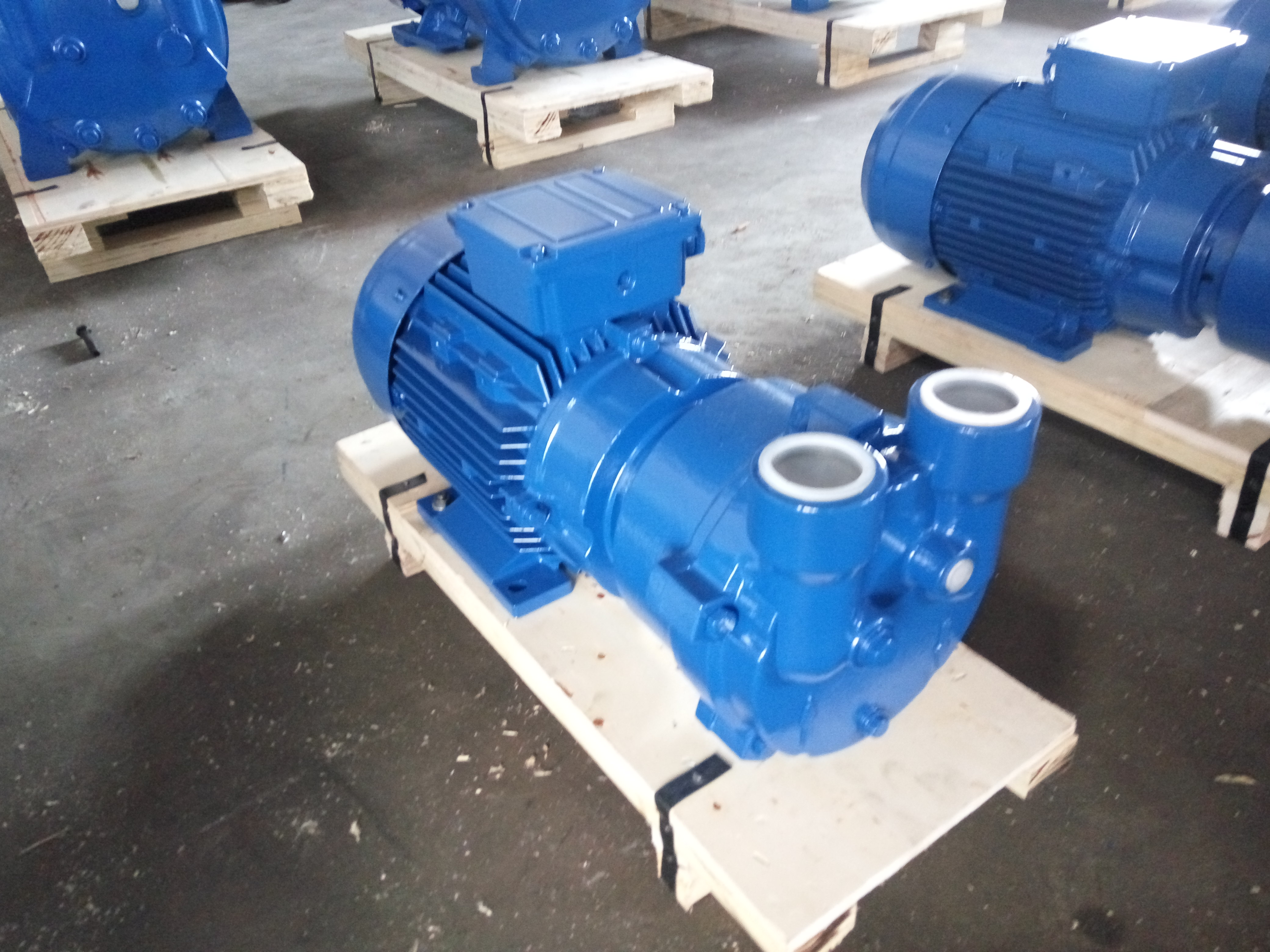 2BV2 071-Ex Liquid Ring Vacuum Pump