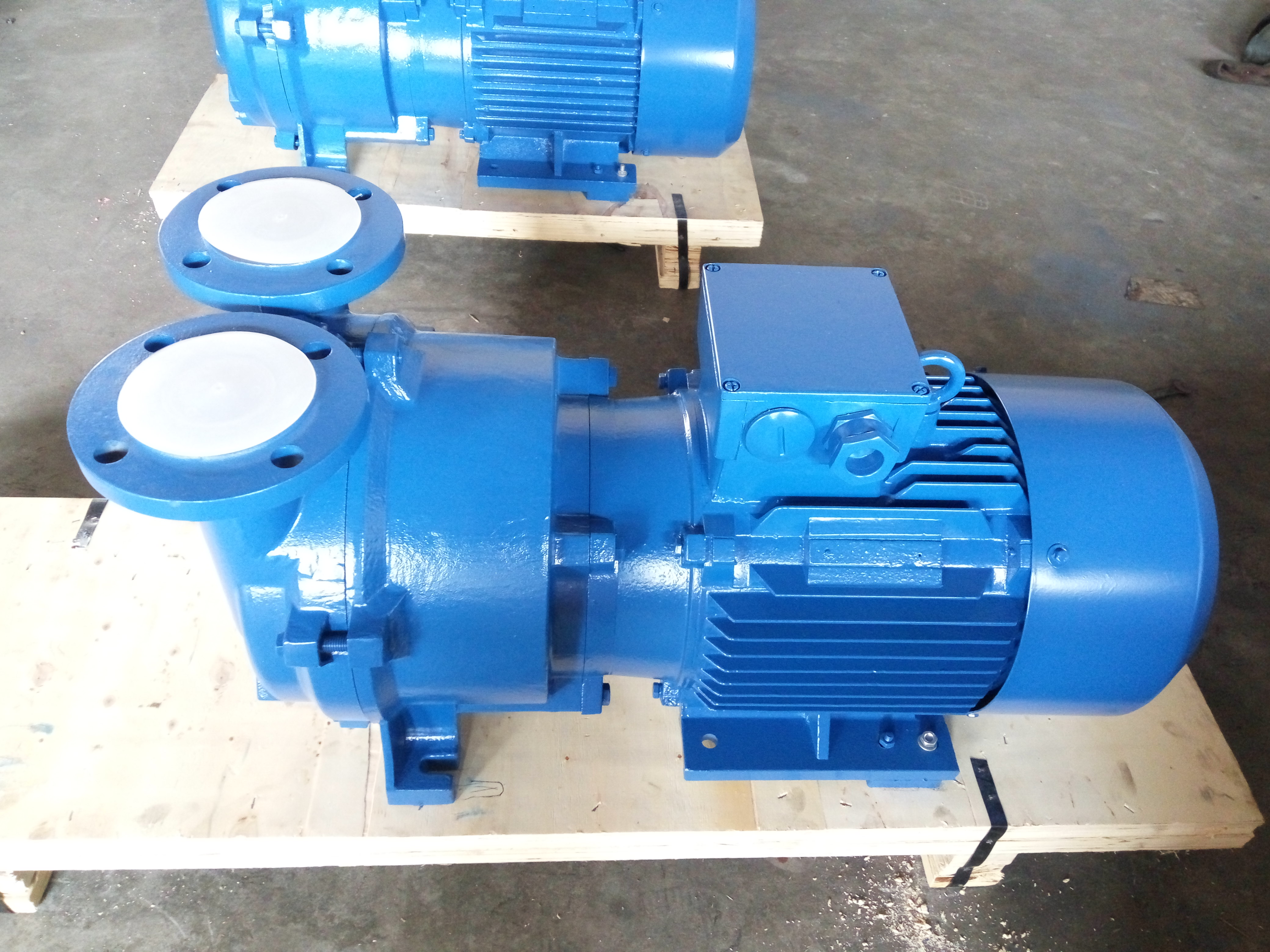 2BV2 070-Ex Liquid Ring Vacuum Pump