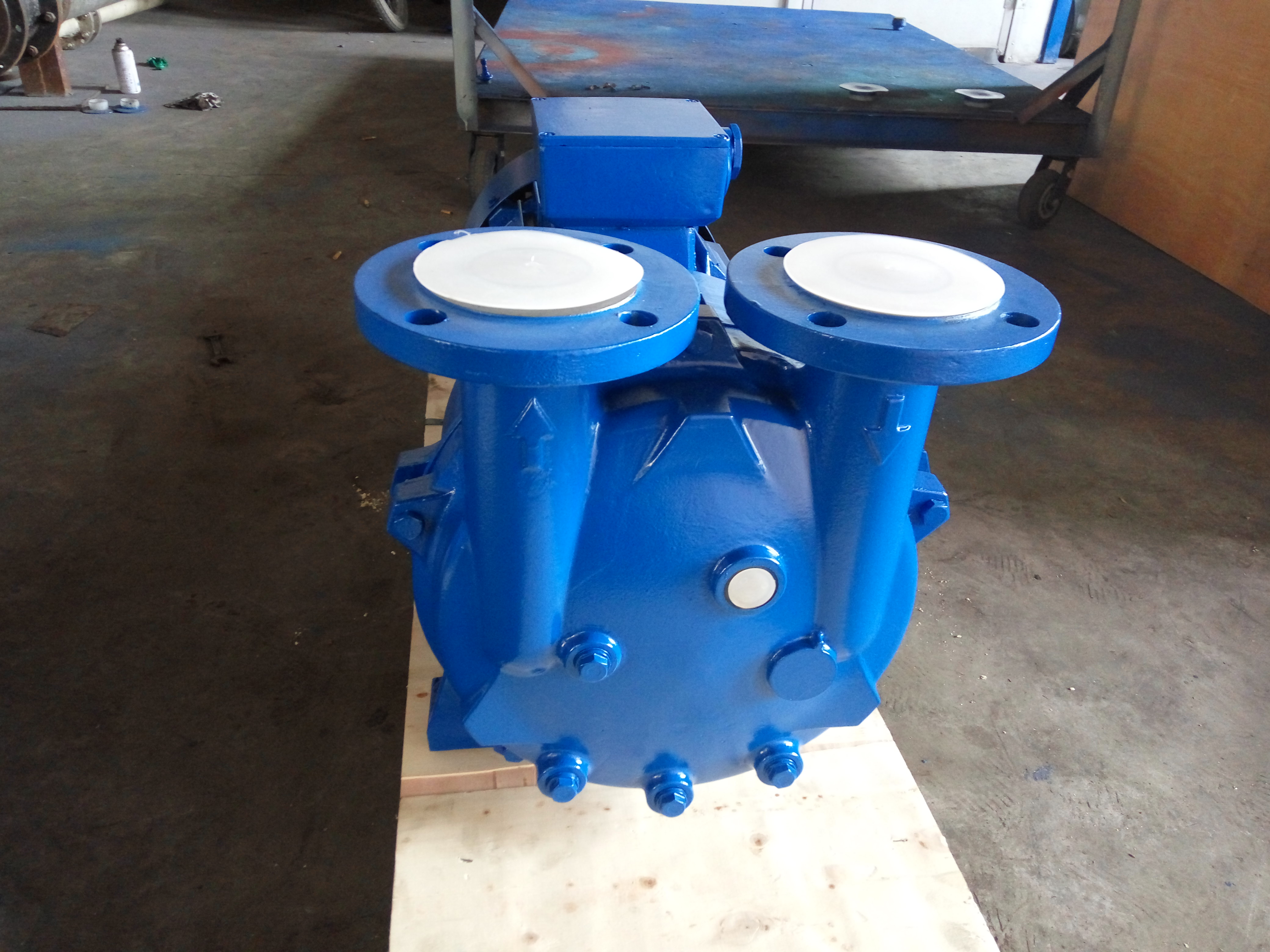 2BV2061-Ex Liquid Ring Vacuum Pump