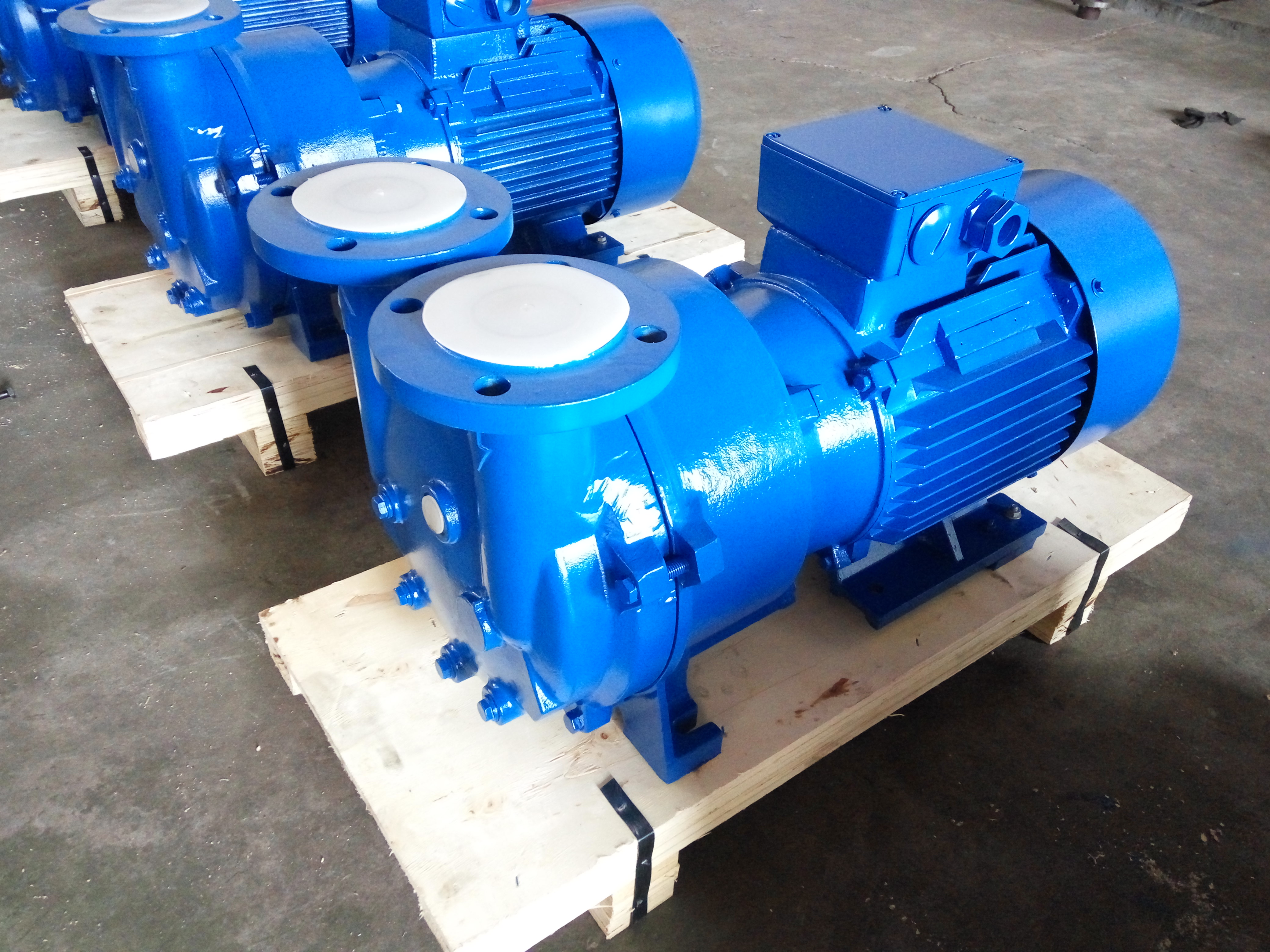 2BV2 060-Ex Liquid Ring Vacuum Pump