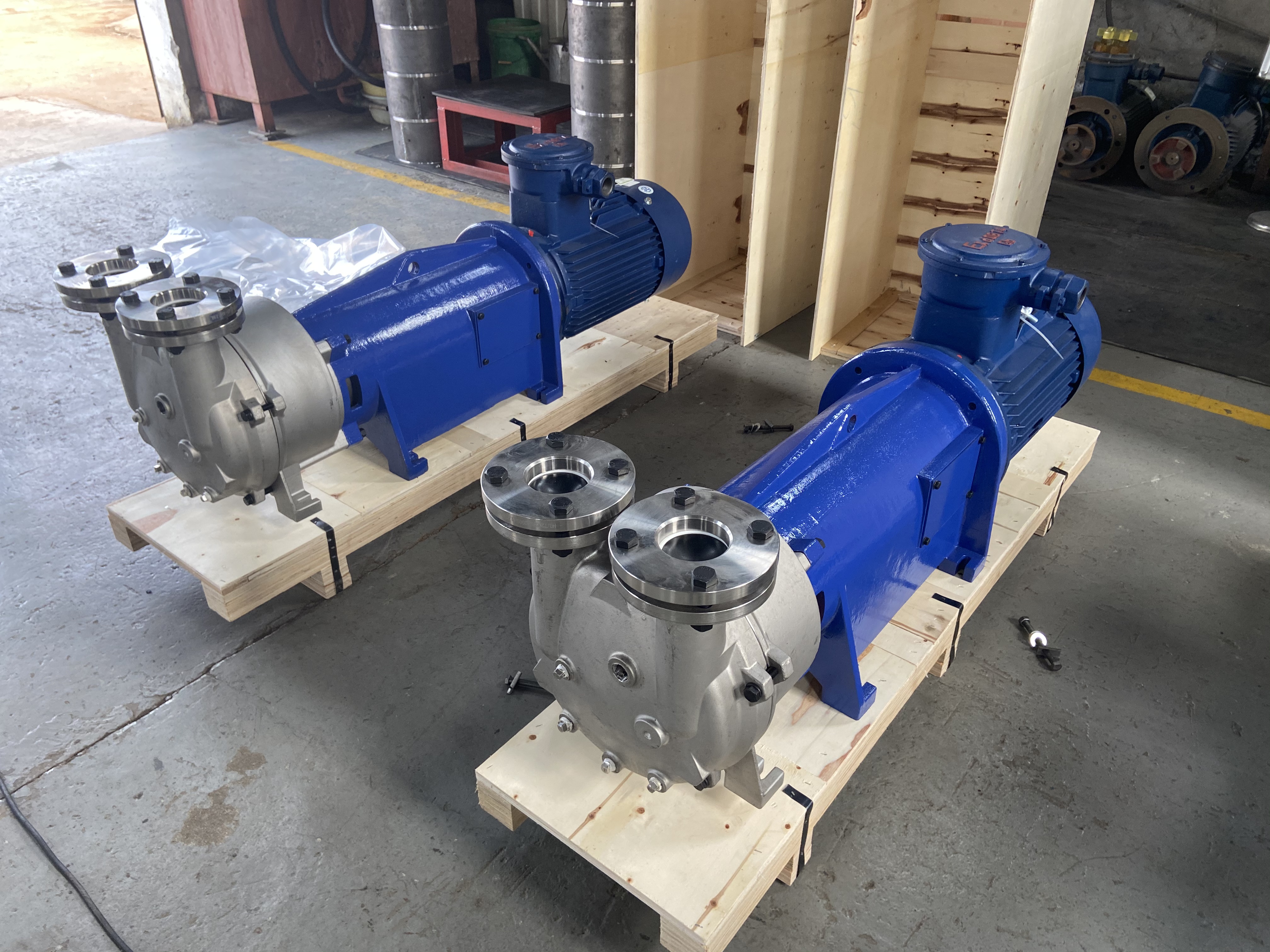 2BV5161 Water Ring Vacuum Pump