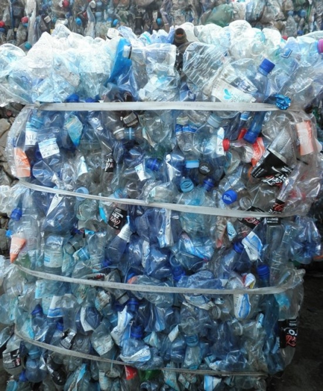 PET bottle scrap supplier, scrap pet bottle supplier, PET bottle scrap for sale