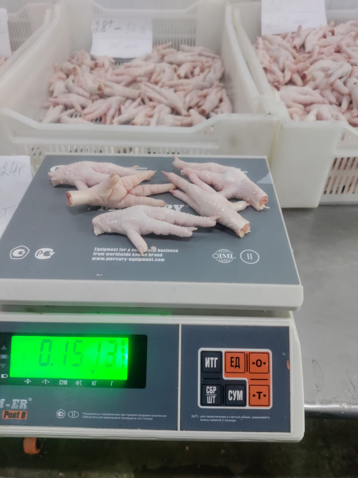 Chicken Feet and Paws of category A for export