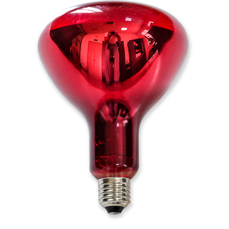 R40 Natural Red Glass IR Lamp