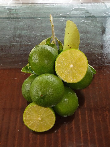 Looking for Vietnamese green seedless lime exporter