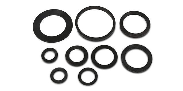 Skeleton Oil Seal