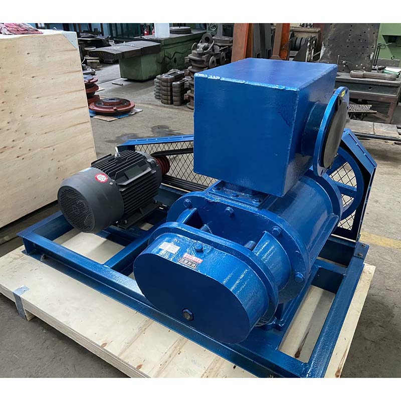 Zbk16 Series Roots Vacuum Pump