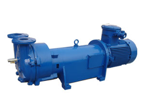 Liquid Ring Vacuum Pump (2BV2061)