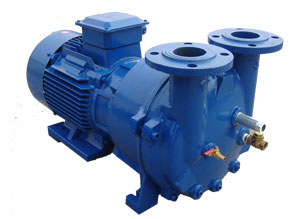 2BV6111 Liquid Ring Vacuum Pump