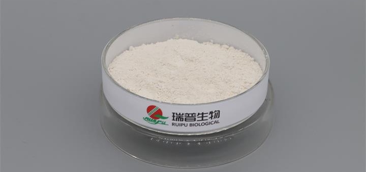 Supermicro Ferric Pyrophosphate Manufacturer