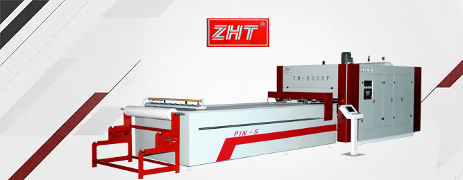 TM3000F-P Автоматическая лазерная сканирующая система PIN-системы с положительным давлением