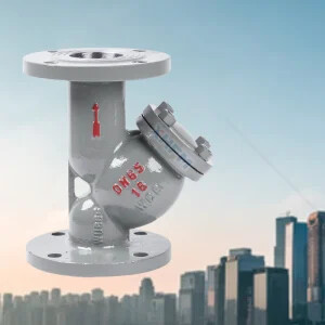 WCB Y Type Pipe Filter