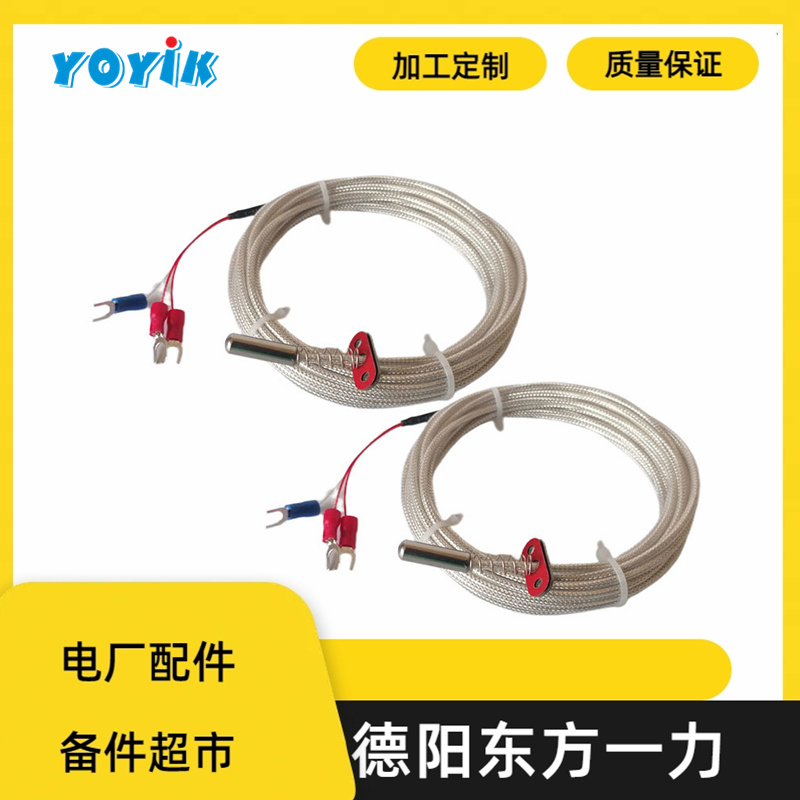 Made in China RTD Sensor WZPM2-08 87.5-G1/2-S for thermal power plant