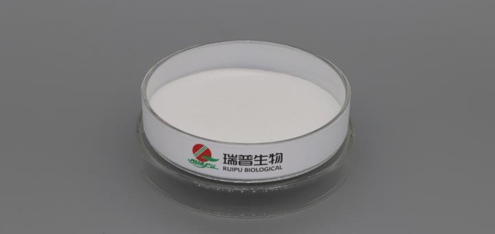 Magnesium Lactate Powder