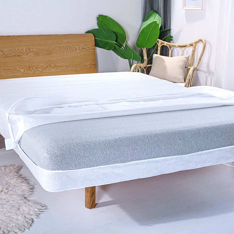 ZC24029 Zipper Box Spring Anti Bed Bug Mattress Encasement Cover