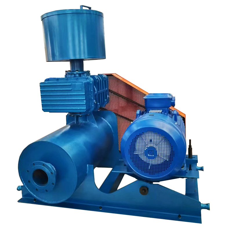 Roots Blower Installation Guide