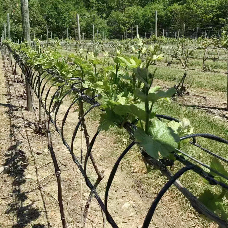 Geogrid Mesh Retaining Wall