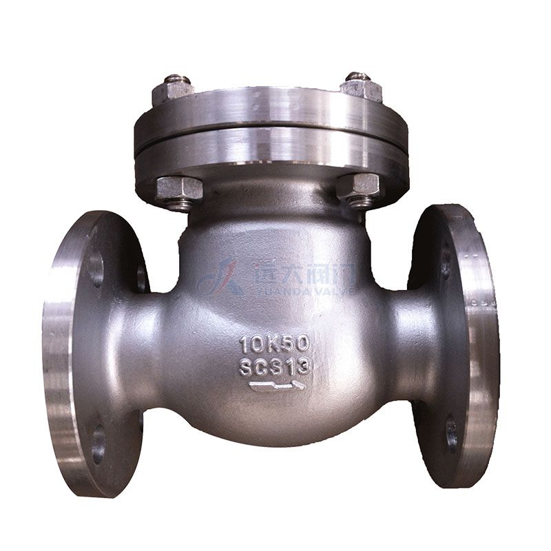 swing type foot valve