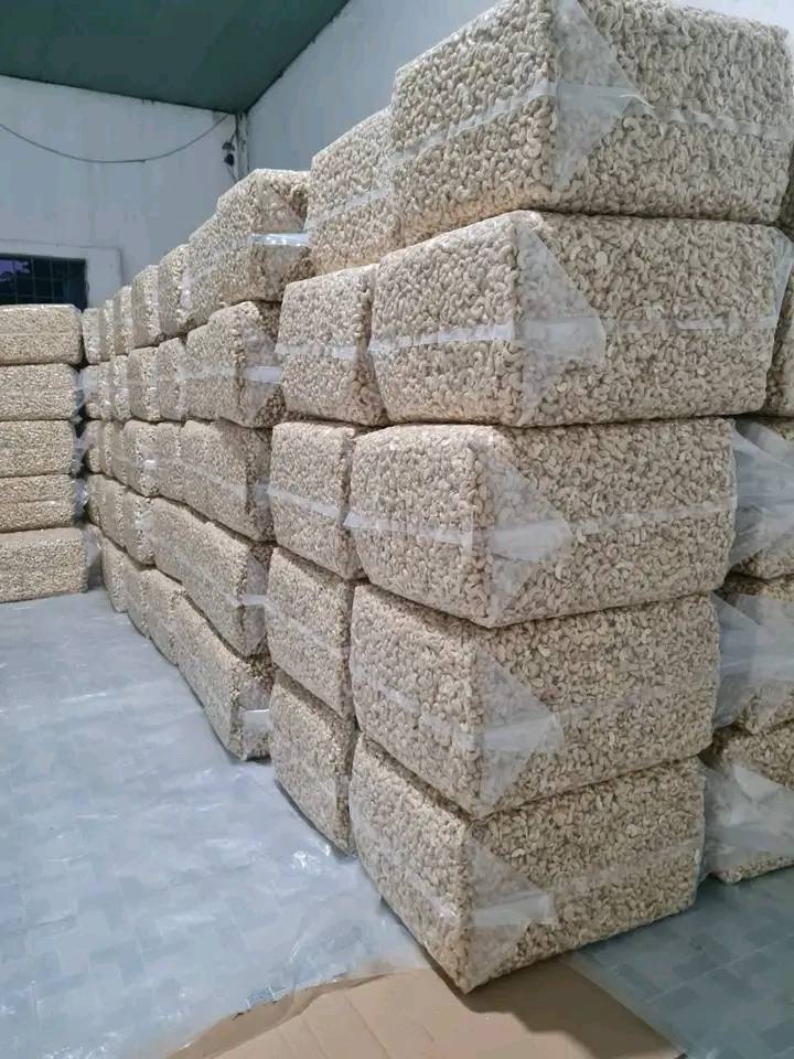  Raw Cashew Nuts For Sale | Cashew Nuts For Bulk Supply | Cashew Nuts Warehouse 