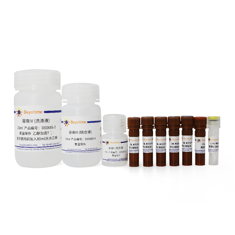 DNA Methylation Kits