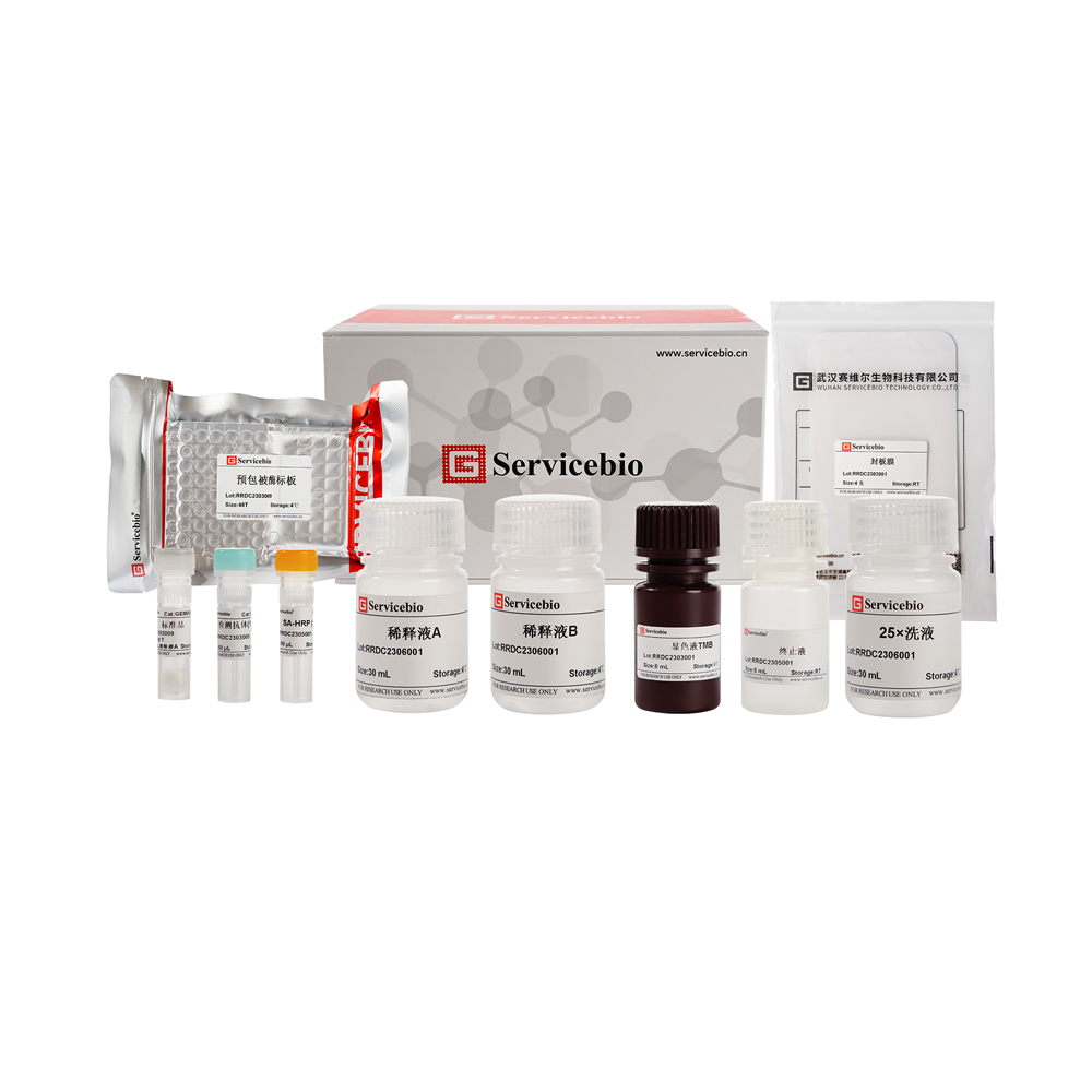 Protein Analysis Kit