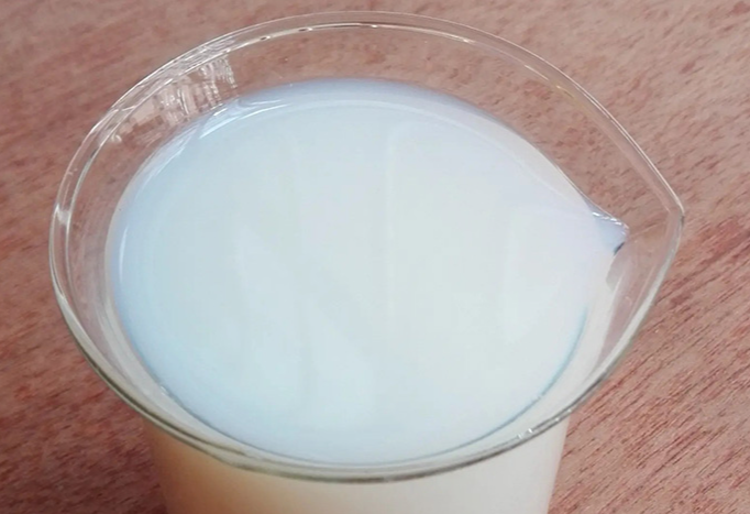 Hydroxylated acrylic dispersion STD 2025