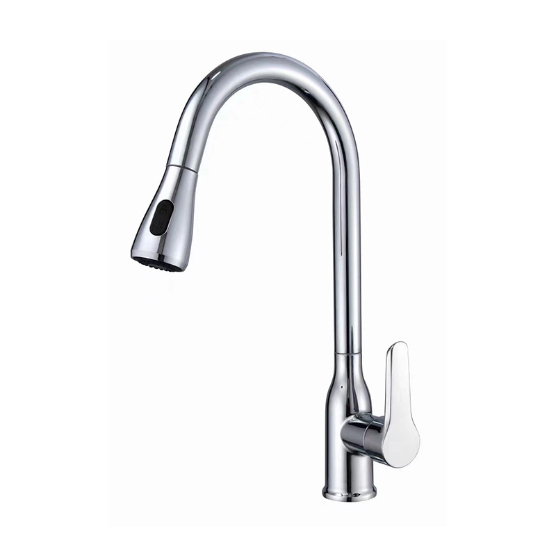 Fixed Countertop Kitchen Faucet