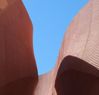 Outdoor quality-warranty weather-resistant wooden transfer powder coating