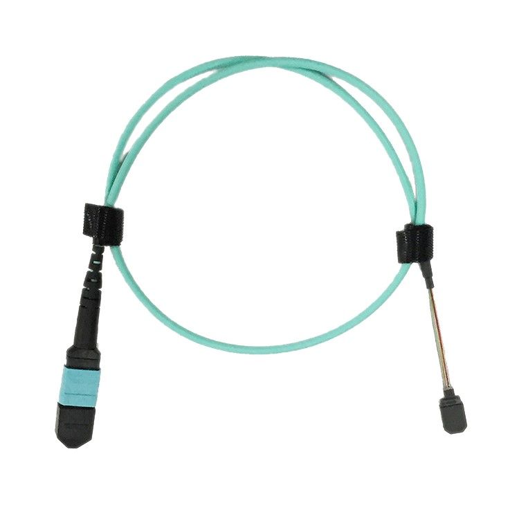 MPO/MTP Fiber Cables supplier