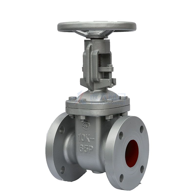 swing type foot valve