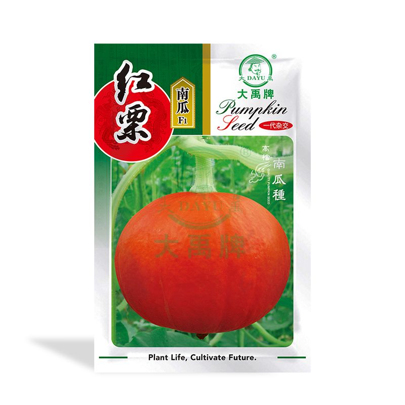 China Pumpkin Seeds Manufacturers