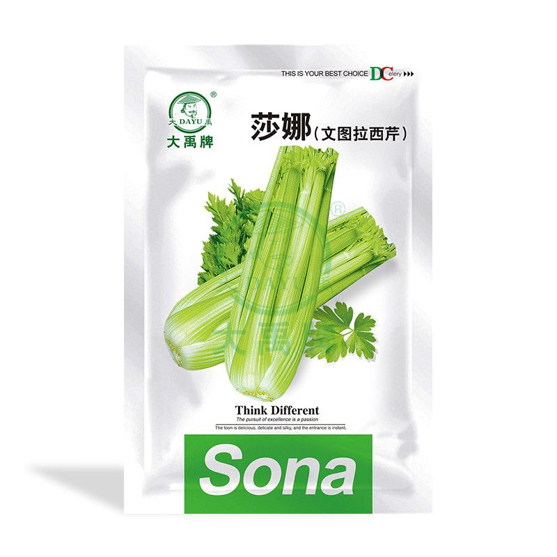 Ventura Celery Seeds
