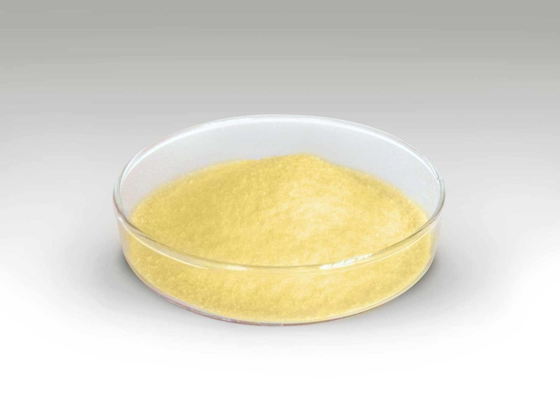 Phospholipids Food additive