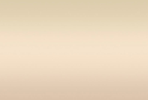 Shallow autumn thin gauze gold powder coating