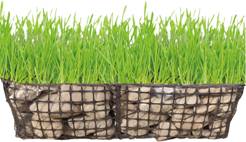 Plastic Geogrid For Dune Reconstruction