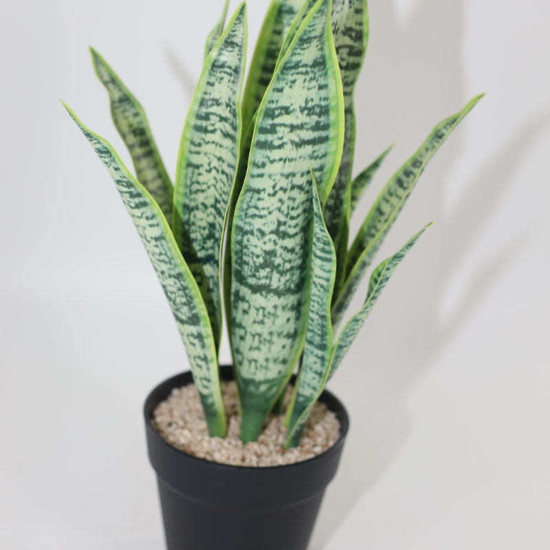 Wholesale Artificial Cactus