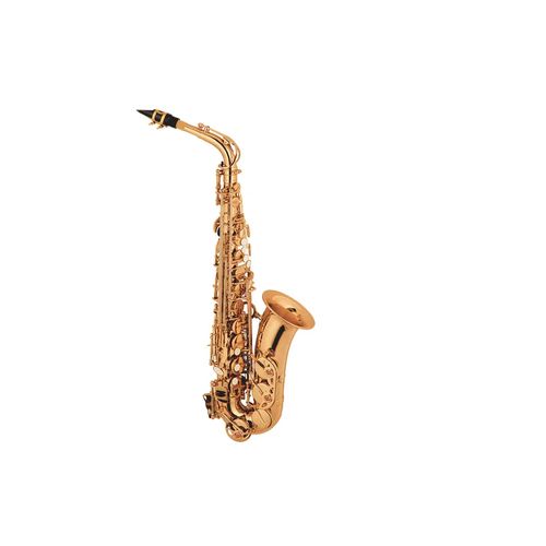 Alto Sax Saxophone – Gold Plated with High F# Key