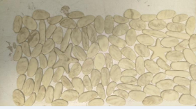 Luminous pigmnet pigment