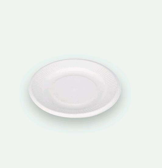6 Inch Rippled Edge Biodegradable Plate