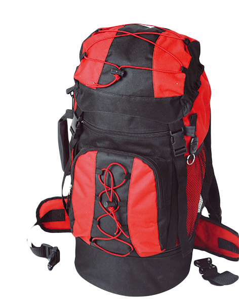 backpack/shoulders bag